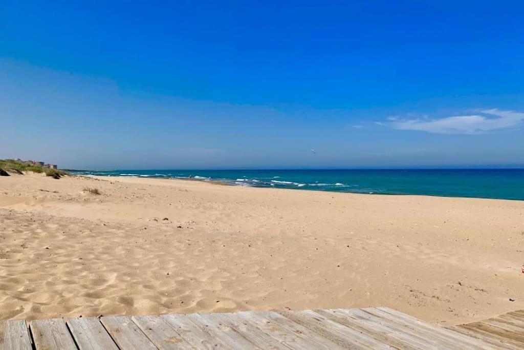 Azul Beach By La Mata Beach Torrevieja Exterior foto